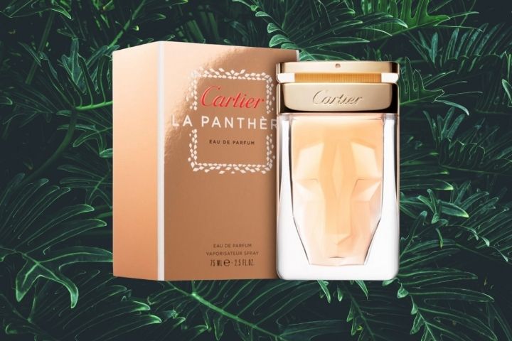Cartier La Panthere Review: Top Geur? Ervaringen! (2022)